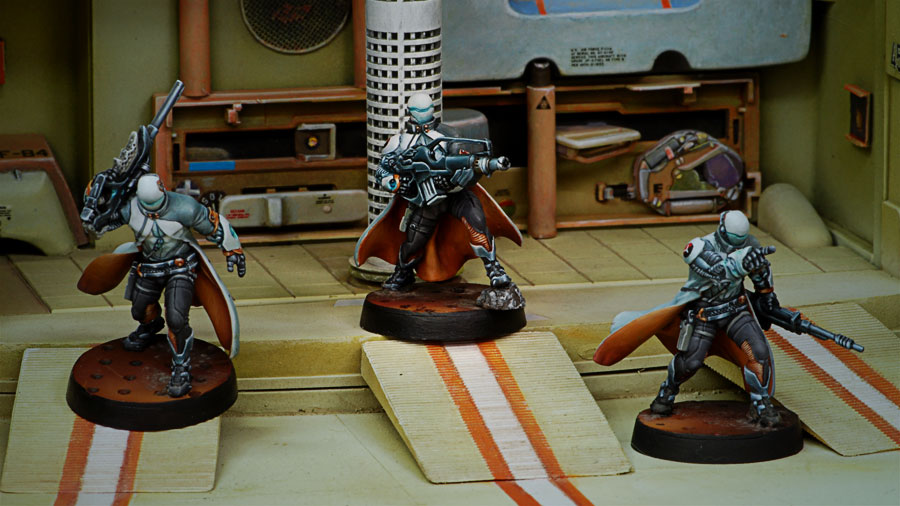 Sin-Eater Observants (HMG)