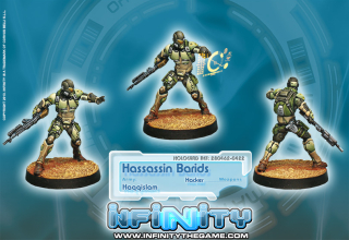 Hassassin Barid (Hacker)